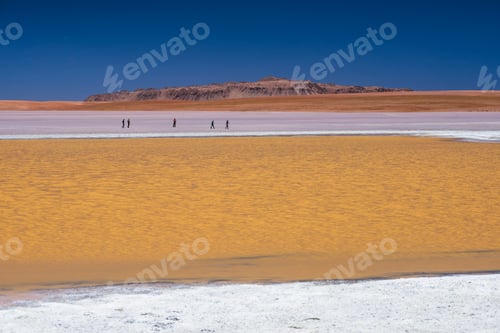 Preview: Tourists at Laguna Hedionda, a salt lake area in the Altiplano of Bolivia, South America
