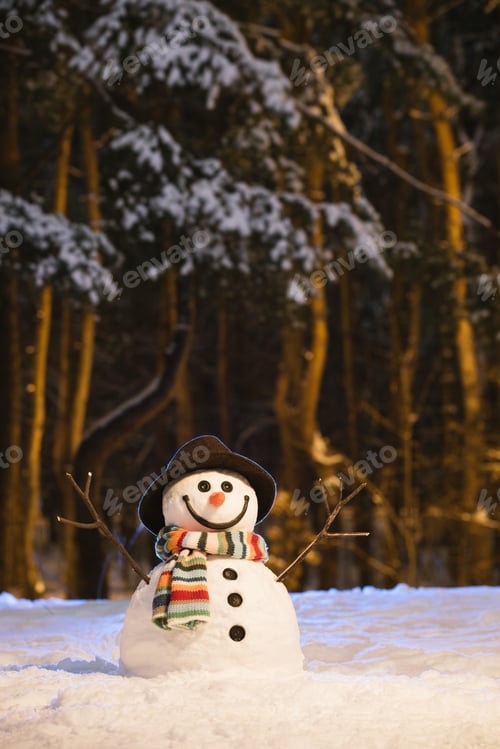 Preview: Christmas card with cute snowman