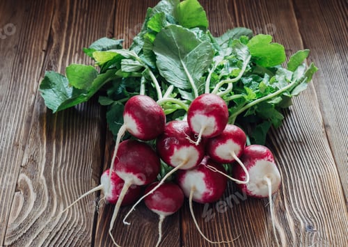 Preview: Fresh radish on rustic wooden background