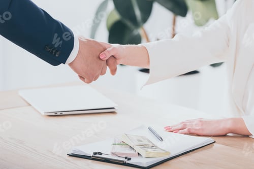 Preview: cropped shot of businessman shaking hands with client in office