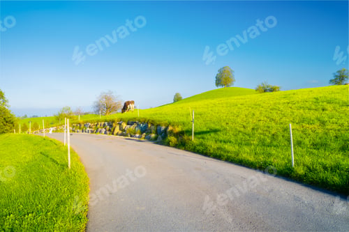 Preview: The Swiss countryside. Road. Tree on top of the hill. Fields and pastures. Agricultural landscape