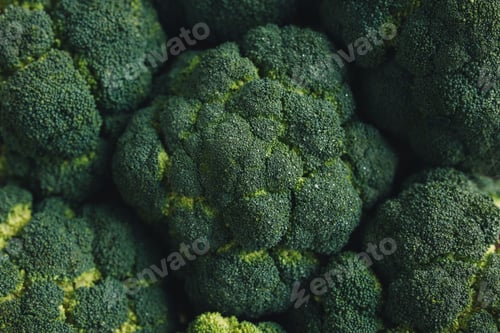 Preview: Fresh green broccoli, drops of water on broccoli