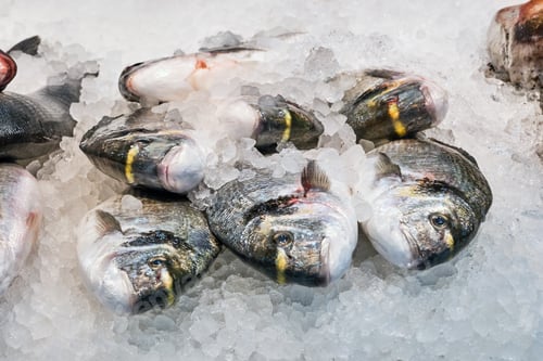 Preview: Fresh Fish on Ice at a Fish Market