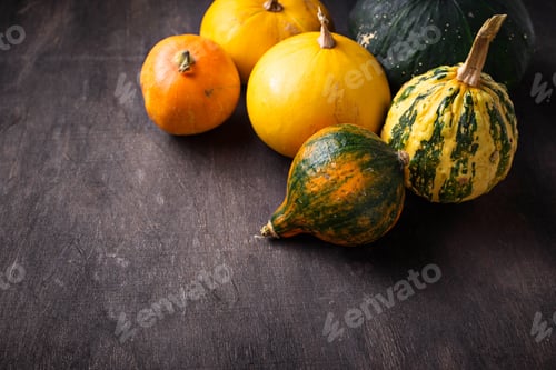 Preview: Assortment of decorative pumpkins. Autumn background