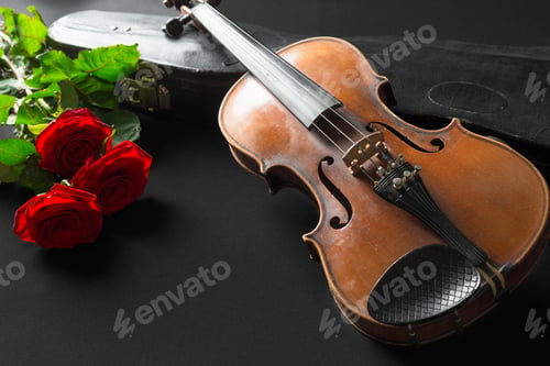 Preview: Violin and rose on black background.