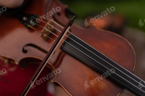Preview: The man plays the violin