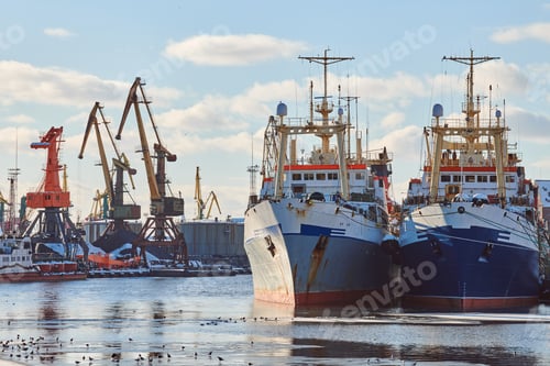 Preview: Moored ships and harbor cranes in port