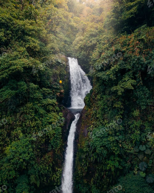 Preview: Vertical aerial shot of a scenic waterfall surrounded by green trees