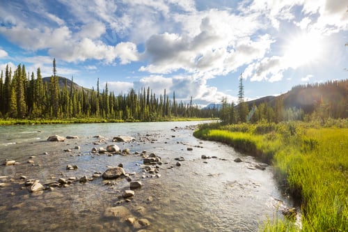 Preview: River in Canada