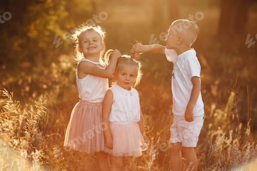 Preview: two sisters and brother are playing, hugging in the field on summer. children playing outdoors