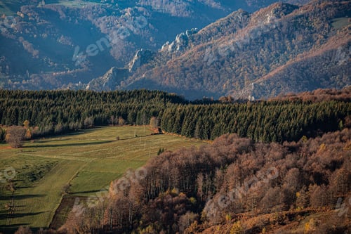 Preview: Scenic mountain landscape featuring an abundance of trees with snow-capped peaks in the background
