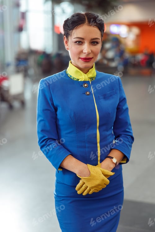 Preview: Female flight attendant or air hostess standing in airport terminal