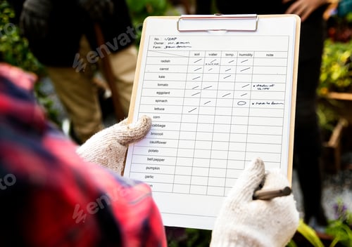 Preview: Farmer with organic nature product vegetables