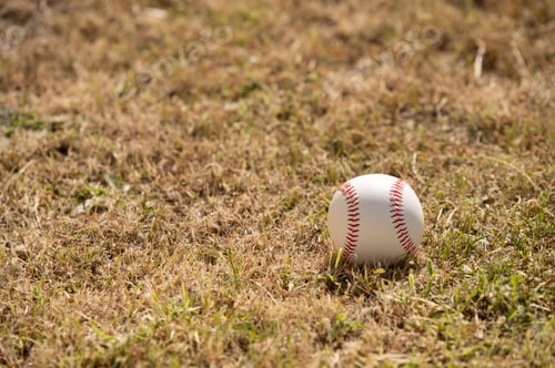 Preview: Close up shot of baseball seen on grass