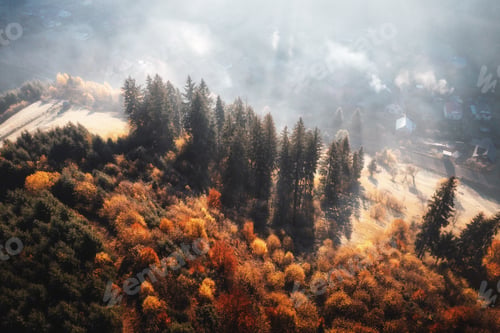 Preview: Aerial view of beautiful pine trees on mountain hill in fog