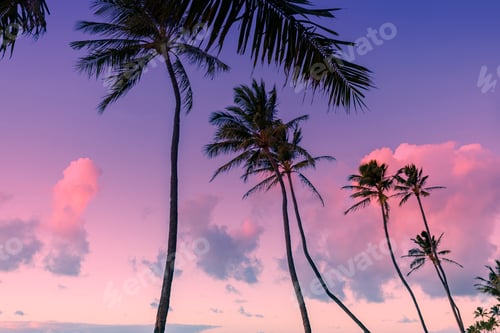 Preview: Tropical island sunset sky background