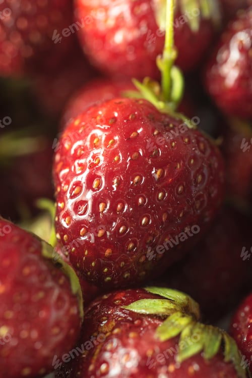 Preview: Fresh ripe perfect strawberry. Macro.