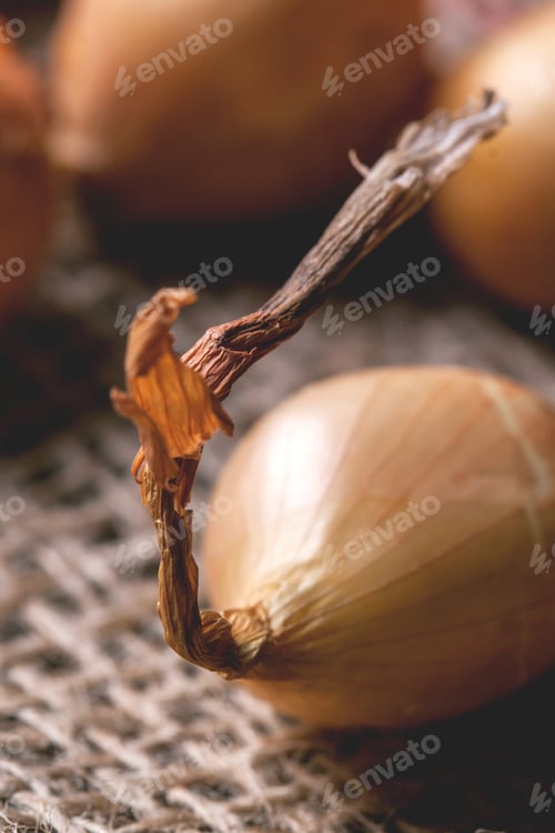Preview: Close up of onion
