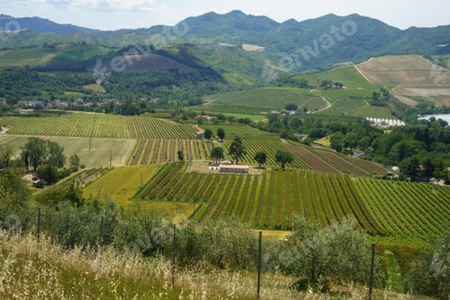 Preview: Rural landscape on the hills near Imola and Riolo Terme