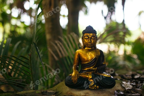 Preview: meditating buddha statue jungle background jungle background