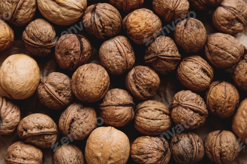 Preview: Walnuts with shells filling the image. Background of fresh walnuts.