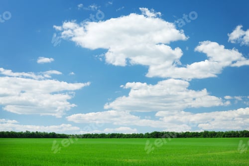 Preview: Green grass field and blue sky