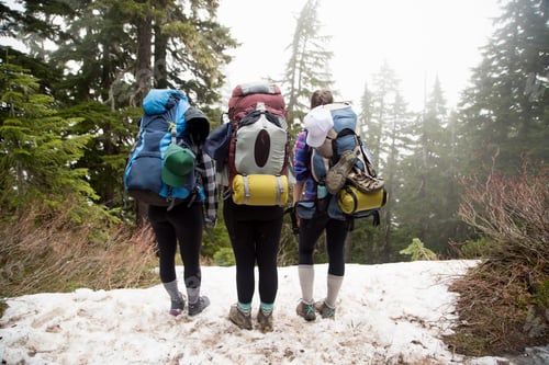 Preview: Hikers walking across forest, Lake Blanco, Washington, USA