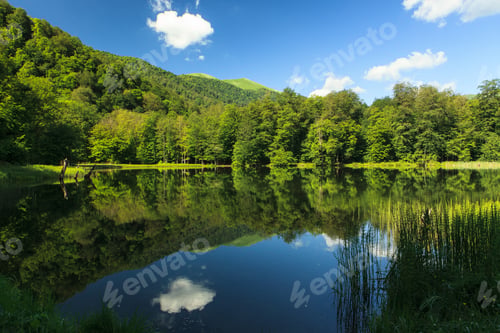 Preview: Beautiful high angle shot of the green scenery reflecting in the Gosh Lake, Armenia