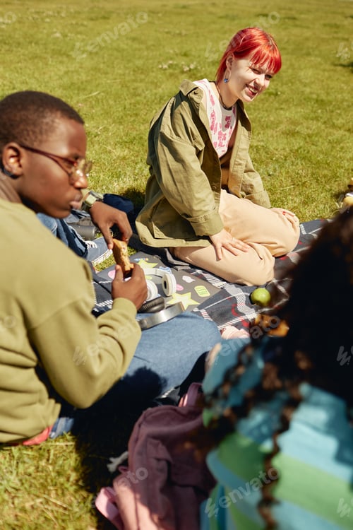 Preview: Smiling Teenage Girl on Green Lawn Enjoying Picnic with Friends on Sunny Day