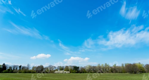 Preview: Sky Blue,Cloud with Forest Tree,Green Grass Field and Garden in Park, Horizon Spring Landscape