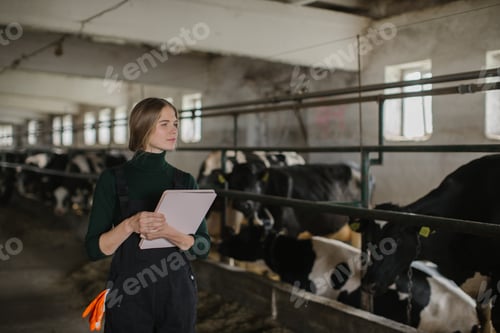 Preview: Young Woman Farmer in Work Clothes with Tablet in Hands in Cowshed on Farm