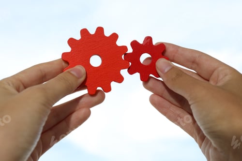 Preview: Female hands hold red gears, close up