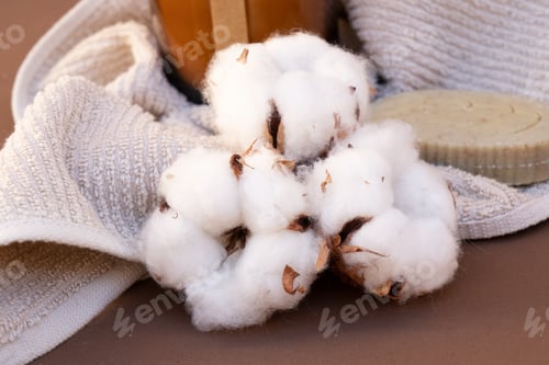 Preview: Cotton buds on brown
