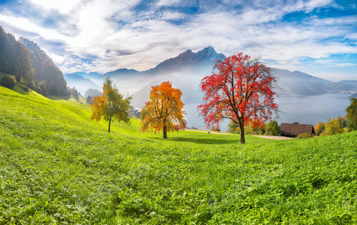 Preview: Captivating autumn view on suburb of Stansstad city and Lucerne lake with mountaines and fog