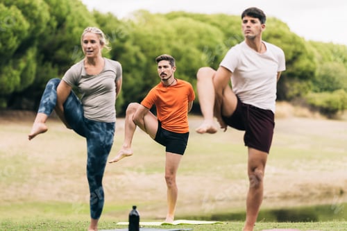 Preview: Athletic people in sports clothes doing yoga on a park