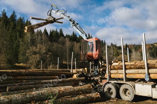 Preview: Crane loading wood into wood truck and the wood grapple holding logs in the air