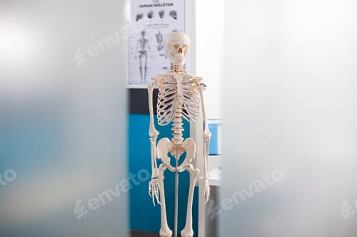 Preview: Hospital office with skeleton focus
