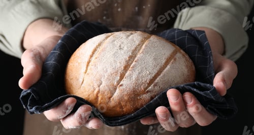 Preview: Woman holding freshly baked bread on black background, closeup