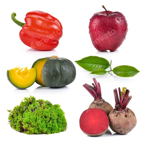 Preview: Pumpkin, moss, apple, tea, Beetroot, pepper on white background