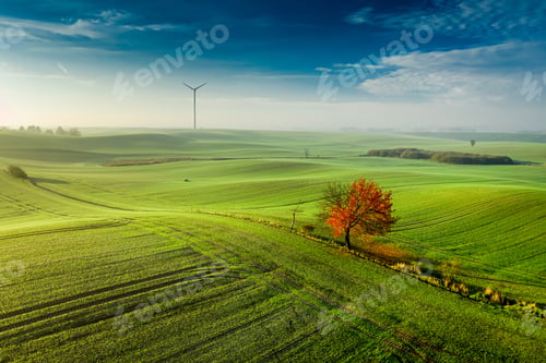 Preview: Wind turbine and one red tree on green field