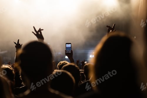 Preview: crowd having fun at concert summer music festival
