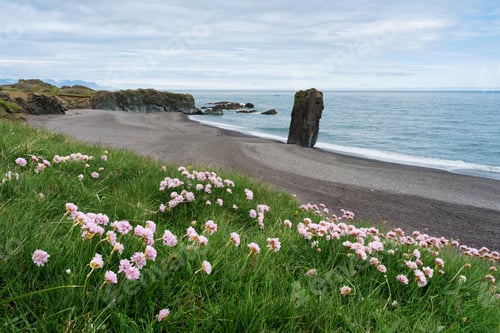 Preview: Basalt columns on the beach, Iceland