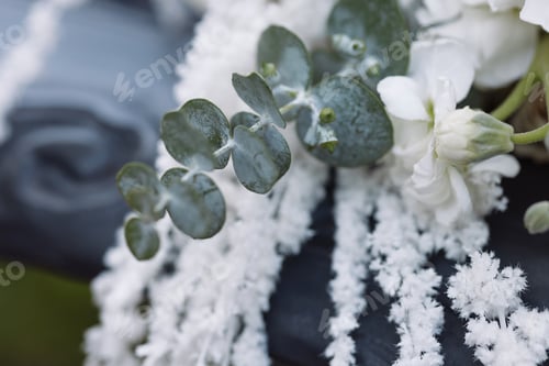 Preview: White flower boutonniere with eucalyptus on dark fabric background