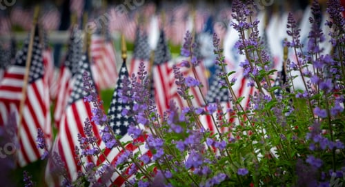 Preview: American Flags with Lavender Blooms Memorial Day