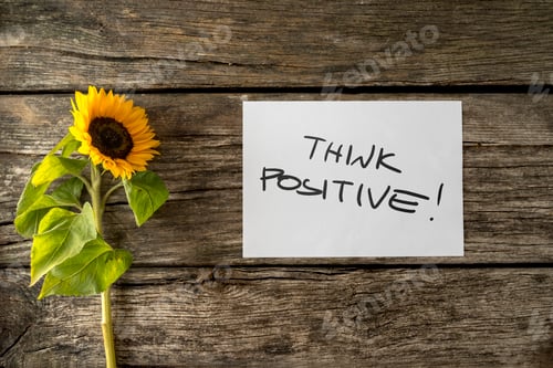 Preview: Top view of sunflower lying next to a motivational message Think positive