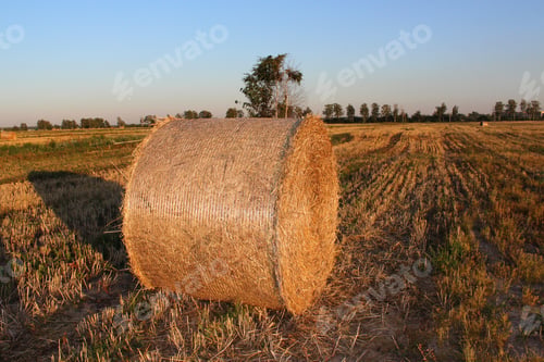 Preview: A haystack on a field in autumn.