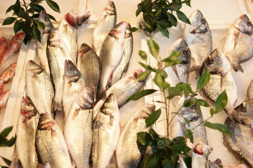 Preview: Raw fish on display at fish market.
