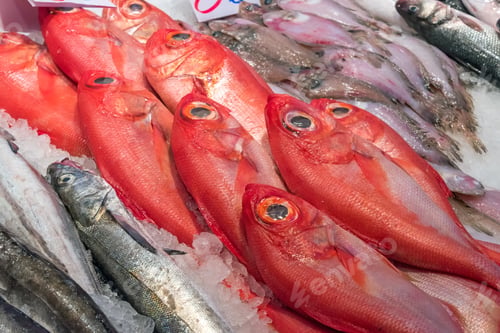 Preview: Red bream for sale at a market