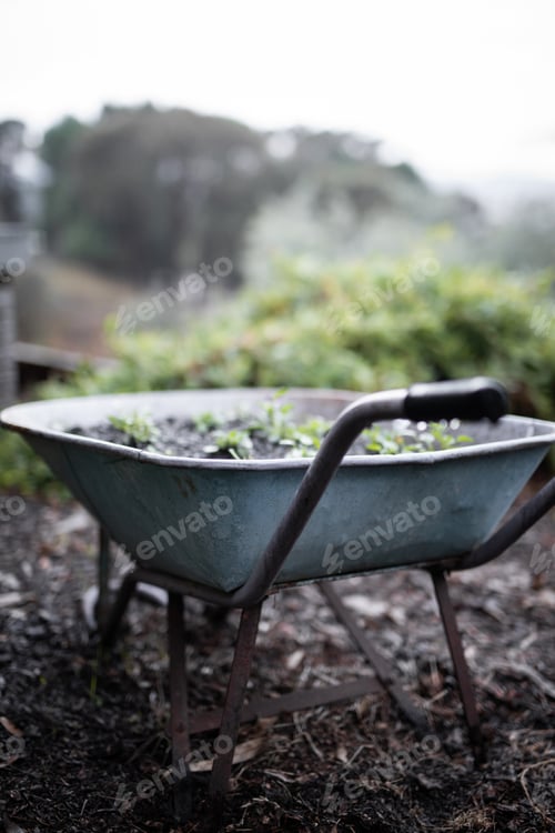 Preview: Wheelbarrow