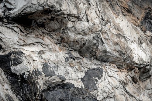Preview: Exploration of textured background highlighting natural patterns